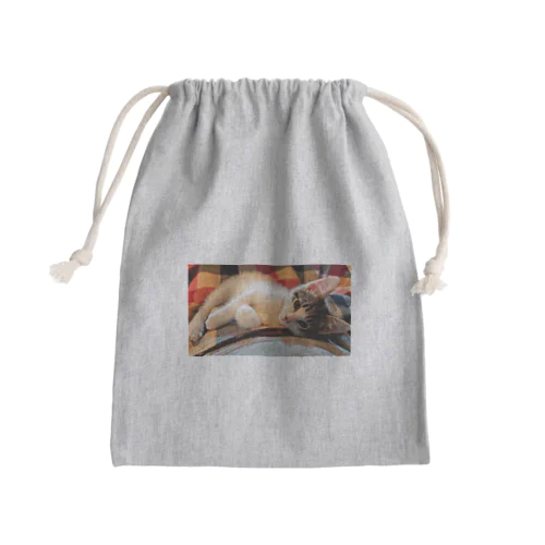 ✨🌌天ちゃんです🐈💗🌌✨ Mini Drawstring Bag