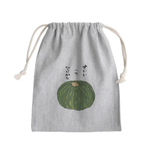 果たしてカボチャは本当に誠意にならないのか? Mini Drawstring Bag