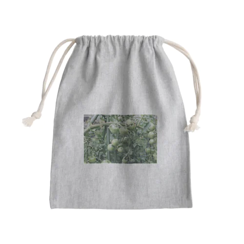 夏の思い出写真Ⅱ Mini Drawstring Bag