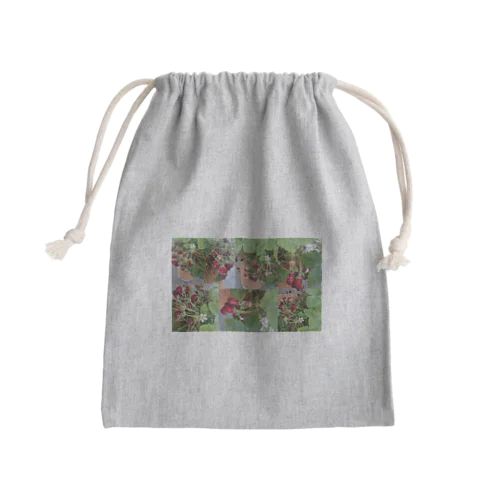 ワイルドストロベリー③(フラワー) Mini Drawstring Bag