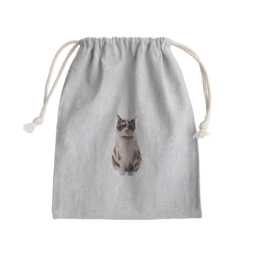 アビとアッシュ Mini Drawstring Bag