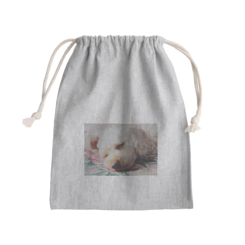 Mini Drawstring Bag