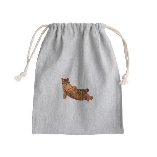 Elegant Cat ② Mini Drawstring Bag