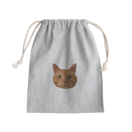 茶トラぴっちゃん Mini Drawstring Bag