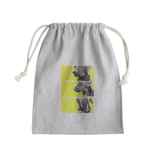 ゾーイ Mini Drawstring Bag