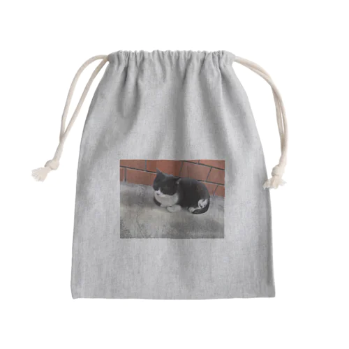 街歩いてたらいたレンガ猫 Mini Drawstring Bag