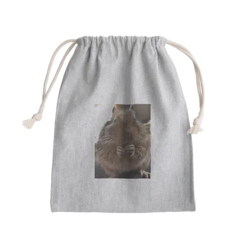 Octodon　でーちゃん Mini Drawstring Bag