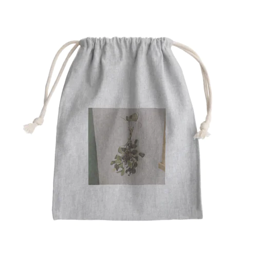 dried  plant  Mini Drawstring Bag