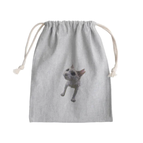 憐れネコ Mini Drawstring Bag