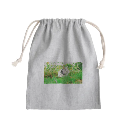 ネザーランドドワーフミミちゃん Mini Drawstring Bag