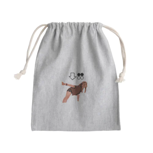 ↓WP Mini Drawstring Bag