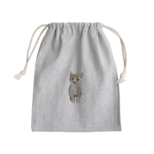 我が家のにゃんこ〜ルーンくん〜 Mini Drawstring Bag