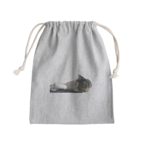 じゃれねこちゃん Mini Drawstring Bag