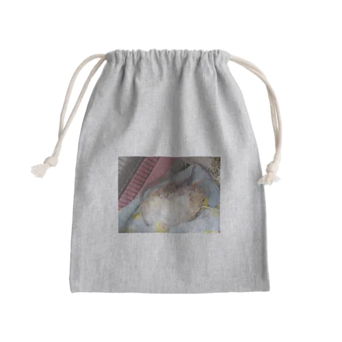 ちぃ♀出産記念　サンドパイドデグーbabysグッズ Mini Drawstring Bag