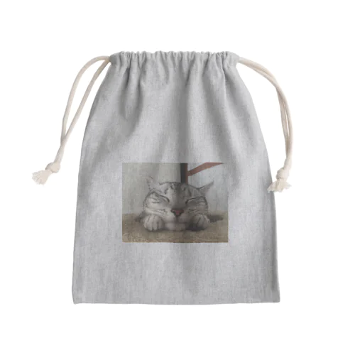 可愛いアメショ Mini Drawstring Bag