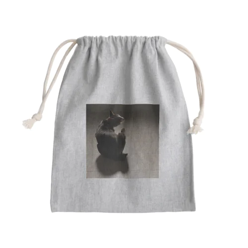 美の巨匠 Mini Drawstring Bag