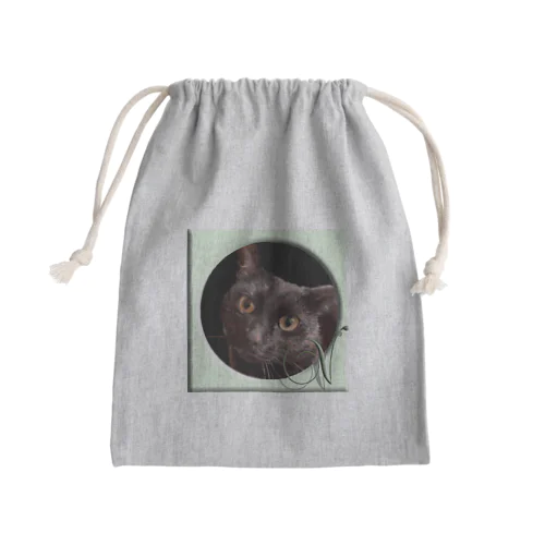 v Mini Drawstring Bag