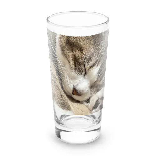 猫(キジシロ) Long Sized Water Glass