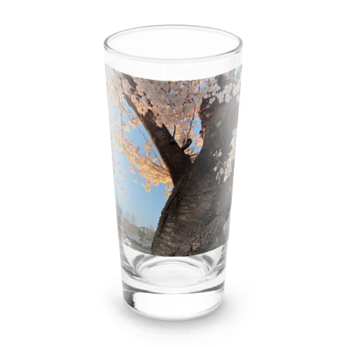 川桜 Long Sized Water Glass