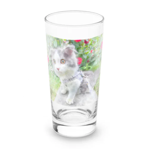 scottishfold_tororo Long Sized Water Glass