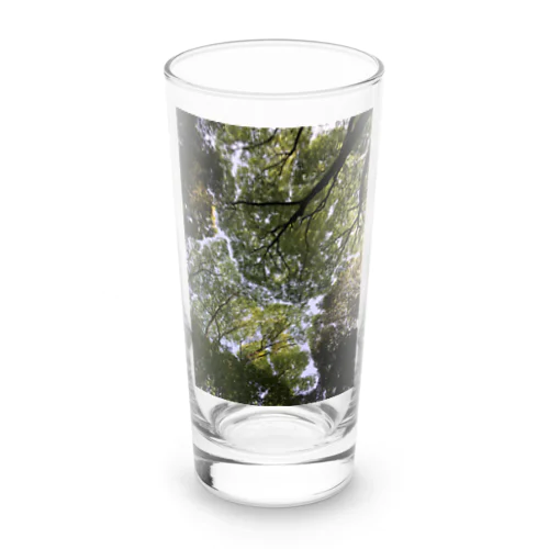 神宮の森 Long Sized Water Glass