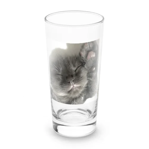 子猫 ロンググラス