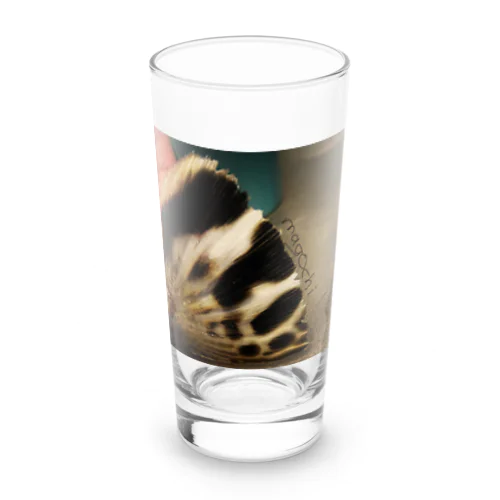 magochi Long Sized Water Glass