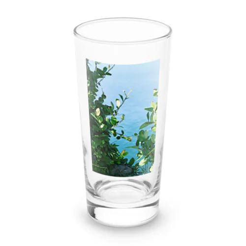 海と緑 Long Sized Water Glass