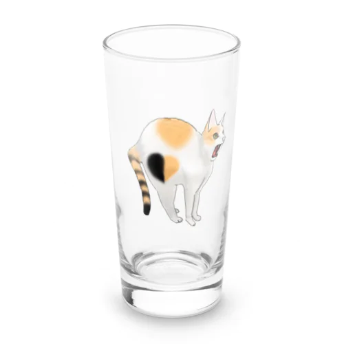 怒る猫 Long Sized Water Glass