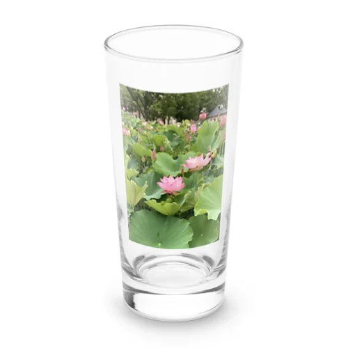 蓮の花です Long Sized Water Glass