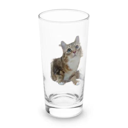 めがくりくりのサックン Long Sized Water Glass