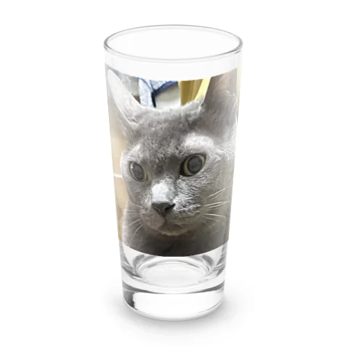 実家の猫 Long Sized Water Glass