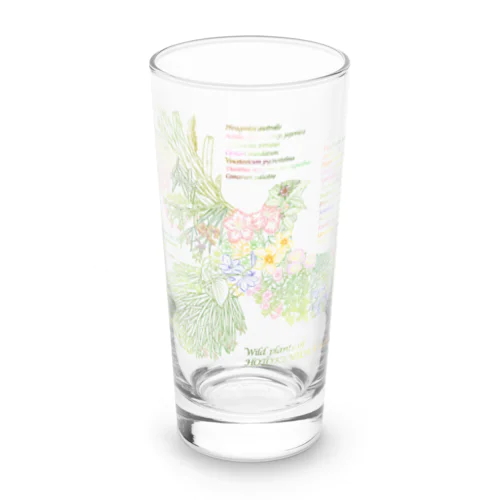 Wild plants of HOTOKENUMA-wetlands（色付き） Long Sized Water Glass