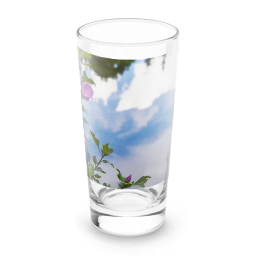 幻惑 Long Sized Water Glass