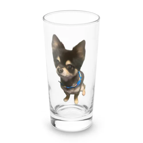 我が家の愛犬レン君 🐶1 Long Sized Water Glass
