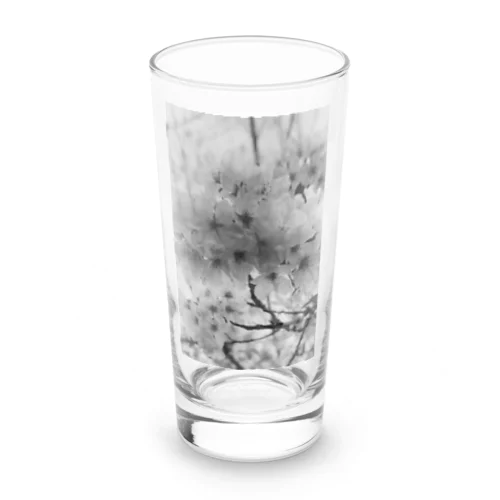 Sakura photo Long Sized Water Glass