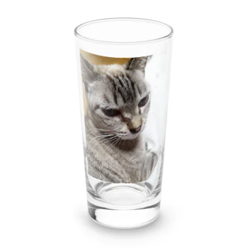 さあ、モフりなさいよ。 Long Sized Water Glass