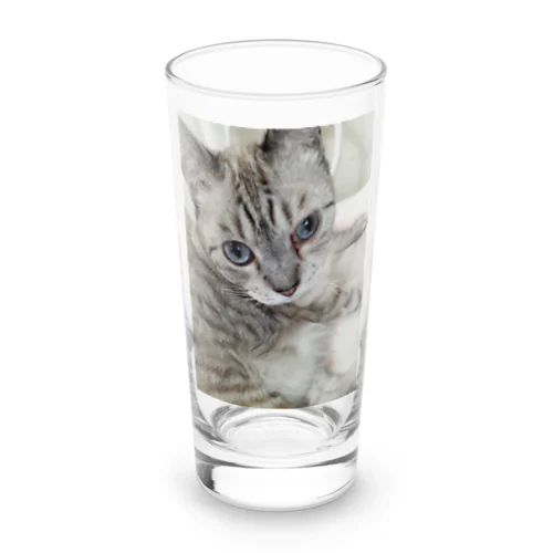 フッワフワのシャムミックス Long Sized Water Glass