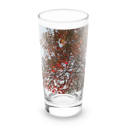 201910181619002　桜の紅葉 Long Sized Water Glass