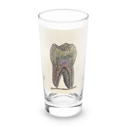 歯解剖図 Long Sized Water Glass