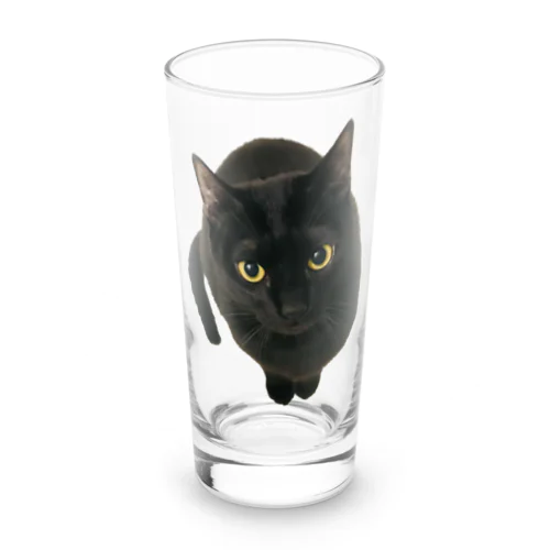 黒猫の零衣(れい)ちゃん Long Sized Water Glass