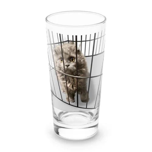 とらわれ試して Long Sized Water Glass