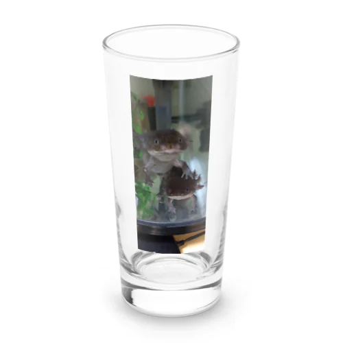 ウーパールーパー　仲良しコンビ Long Sized Water Glass