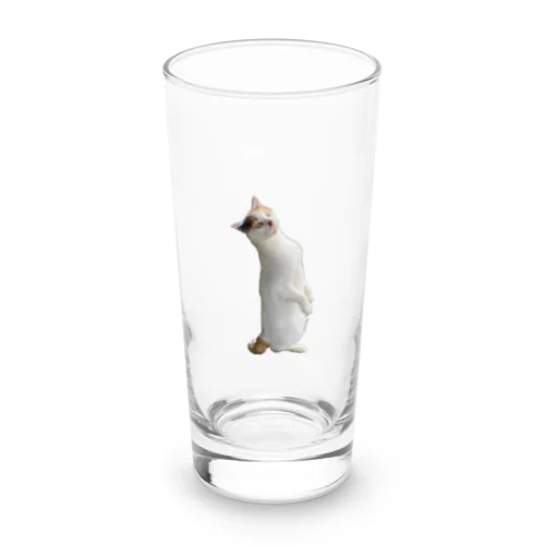 Standing Cat (Kinako) 猫 Long Sized Water Glass