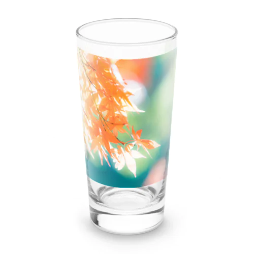 ミドリトコウヨウ Long Sized Water Glass