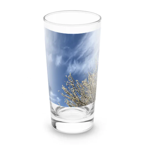白梅と青空 Long Sized Water Glass