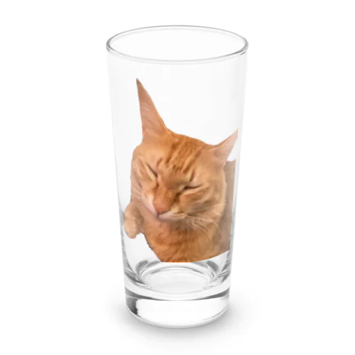 ネムネム我が家のお猫様 Long Sized Water Glass