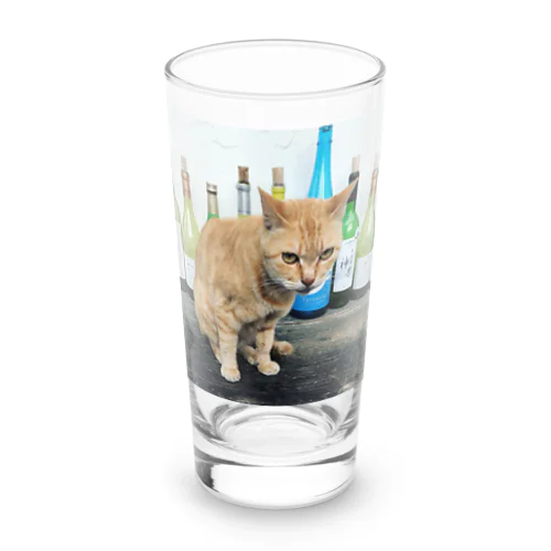 酒猫 ロンググラス