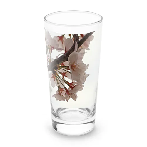 イラスト風SAKURA Long Sized Water Glass