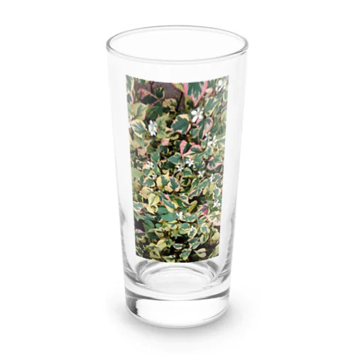 開花中のゴシキドクダミ Long Sized Water Glass